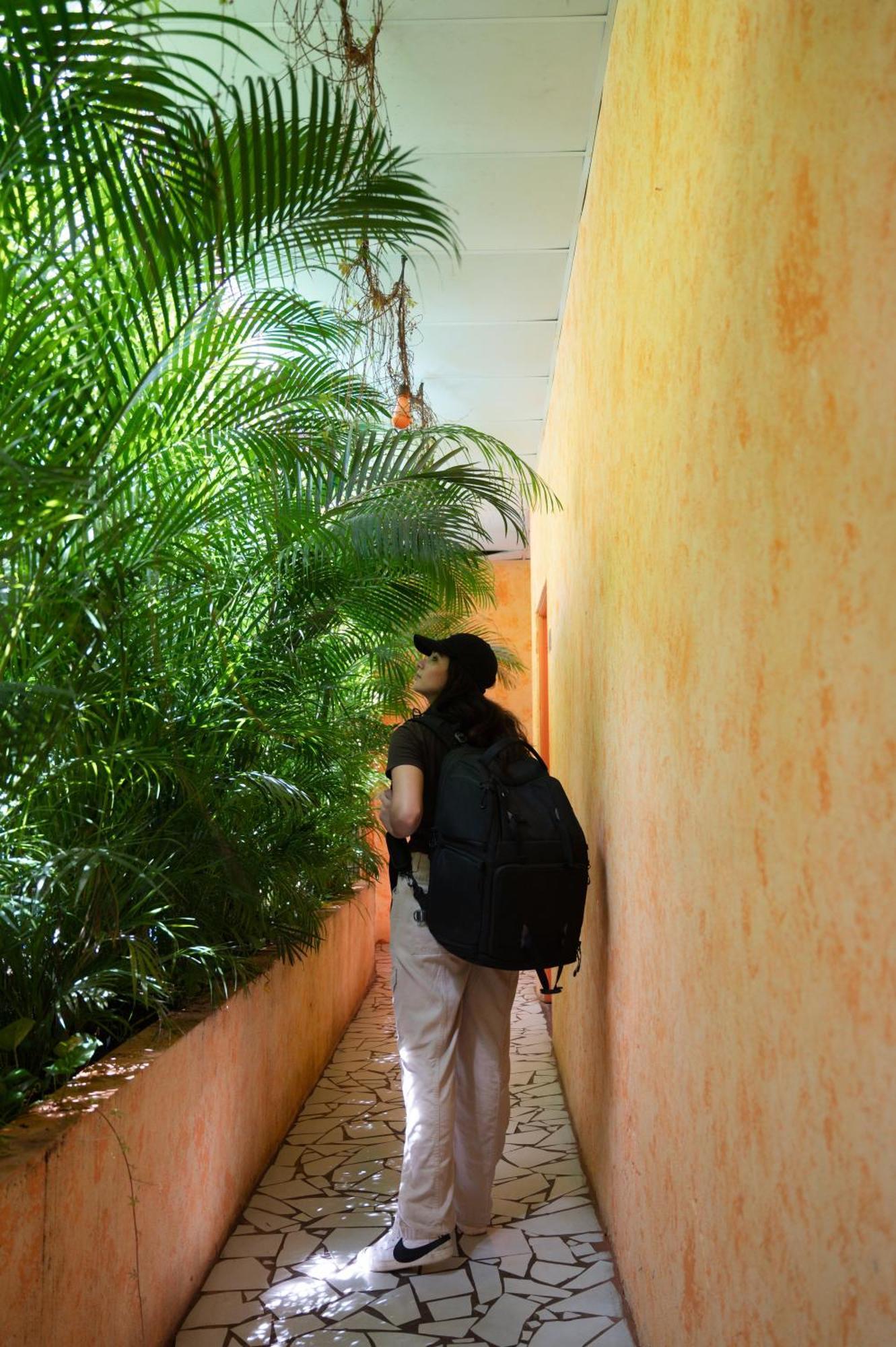 Macarena Hostel Flores Dış mekan fotoğraf